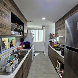 The Pearl @ Mount Faber (D4), Condominium #491548131